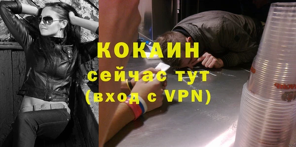дмт Костерёво