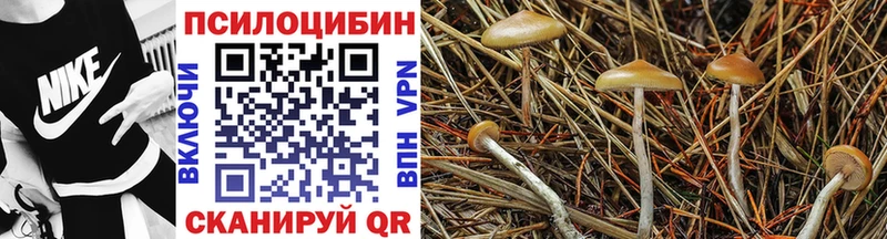 Псилоцибиновые грибы прущие грибы  купить наркоту  Карабаш 