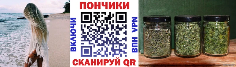 Бошки марихуана план  как найти   Карабаш 